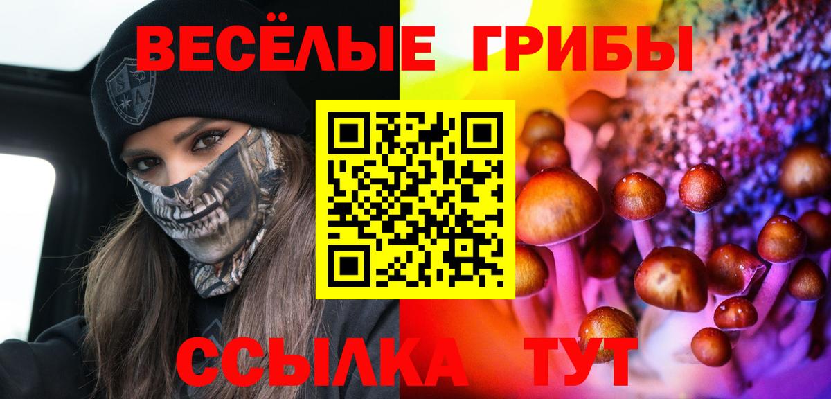 Галлюциногенные грибы Cubensis Красноуфимск